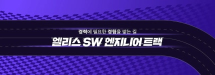 시리즈 | 엘리스SW엔지니어트랙 - DAM