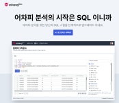 데이터리안 SQL 입문반 4주 후기
