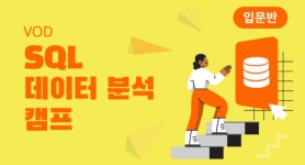 데이터리안 SQL 입문반 4주 후기