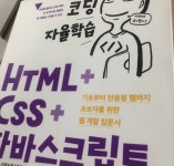 코딩자율학습 HTML + CSS + 자바스크립트 후기
