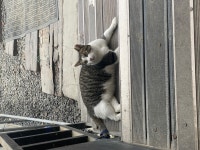 코딩학원 - velog