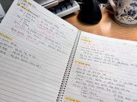 [SQLD] 3일의 전사 후기 (비전공자, 짧은 경력 有)_제 54회 SQL 개발자 시험_합격 🏅