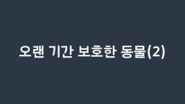 seomiyoung1124 (드코미) / 작성글 - velog