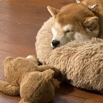 seungggeun (승근) / 시리즈 - velog