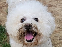 5강 실습-비주얼 스튜디오 다운로드 및 설치 후 테스트 코드 작성