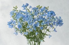 03. 연산자