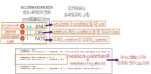 conditional (조건문)