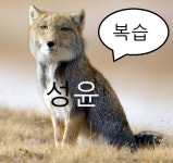 [스나이퍼팩토리] 한컴AI아카데미 6주차 - 리액트네이티브 후기