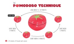 [Flutter] Pomodoro Timer 만들기