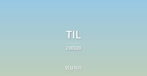[TIL]230320 - 영상처리 3주차: 영상파일형식(2)