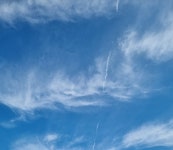 4일차(반복문)