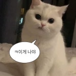 페어-프로그래밍 - velog