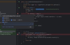 브레이크포인트 - velog