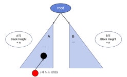 [WIL] Jungle 5주차 Red-Black Tree 레드 블랙 트리 요점 정리와 코드 작성(C)