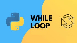 제어문 in Python