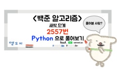 시리즈 | 백준 - c-horok