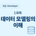 [ SQLD ] 1과목 데이터 모델링의 이해 - 데이터 모델과 성능 (Section 2)