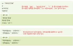 54일차 Python (변수와 데이터형 2) (23.01.05)