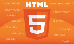 HTML 태그들