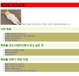 2일차 CSS