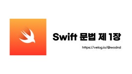 🤔Swift 문법 제 1장