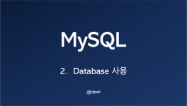 MySQL Database 사용