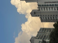 yundutls (대빵) / 소개 - velog