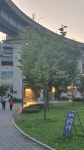 운동 기록 : 17일차