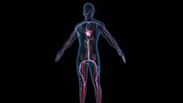 Heart Stock Footage, Royalty Free Clip, Hd Video Footage. Footage 36696646 Heart