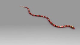 3D 모션에서 산호 뱀 무비클립, 동영상, 영상,HD 영상, HD 비디오, HD 비디오클립. 무비클립 88663673 3D 모션에서 산호 뱀