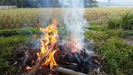 422 모닥불 스톡 영상 · 무비클립 · 비디오 - 123RF