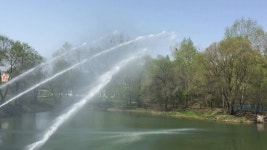 2,071 Flush Stock Footage and Video Clips in 4K and UHD - 123RF