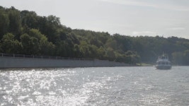 Abricol #1 Royalty Free Photos, Pictures, Images and Stock Photography