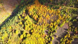 Aerialmax #1 Royalty Free Photos, Pictures, Images and Stock Photography