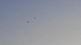 Aj2k #1 이미지, 사진, 상업적 이미지사이트 - 123RF