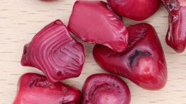 165 산호 스톡 영상 · 무비클립 · 비디오 - 123RF