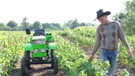 2,348 까치밥 스톡 영상 · 무비클립 · 비디오 - 123RF