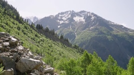 Artiemedvedev #1 Royalty Free Photos, Pictures, Images and Stock Photography