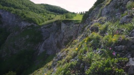 336,418 록 스톡 영상 · 무비클립 · 비디오 - 123RF