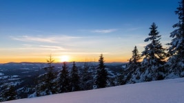 떠오르는 태양이 눈 덮인 전나무 가지를 뚫고 나옵니다. 두껍고 푹신한 눈으로 덮인 땅과 나무들 무비클립, 동영상, 영상,HD 영상, HD 비디오, HD... 