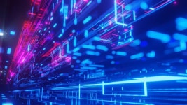 227 기수 스톡 영상 · 무비클립 · 비디오 - 123RF