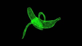 37 필링 스톡 영상 · 무비클립 · 비디오 - 123RF