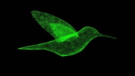 평화와 번영의 상징. 야생 동물 개념. 환경 보호. 제목, 텍스트, 프리젠테이션의 경우. 3D 애니메이션 60FPS 무비클립, 동영상, 영상,HD... 