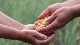 32,956 농장주 스톡 영상 · 무비클립 · 비디오 - 123RF