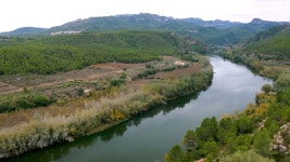 95,191 를 통해 스톡 영상 · 무비클립 · 비디오 - 123RF