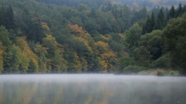 760 Czechia Stock Footage and Video Clips in 4K and UHD - 123RF