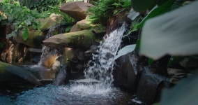 수정처럼 맑은 물이 흐르는 작은 산 강. 녹색 열대 숲의 돌 위로 물이 흐릅니다. 아침 햇살이 나무 사이로 부서집니다. 무비클립, 동영상... 