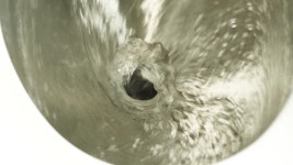 기차가 달리는 동안 기차의 공중 화장실에서 물을 배수하는 슬로우 모션. 무비클립, 동영상, 영상,HD 영상, HD 비디오, HD 비디오클립.... 