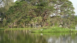 Permaisuri Lake Garden은 Cheras의 유명한 공원 중 하나입니다. Taman Tasik Permaisuri라고도 알려져 있습니다. 정원 주변에서는 다양한... 