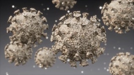 96 Beta cell Stock Footage and Video Clips in 4K and UHD - 123RF
